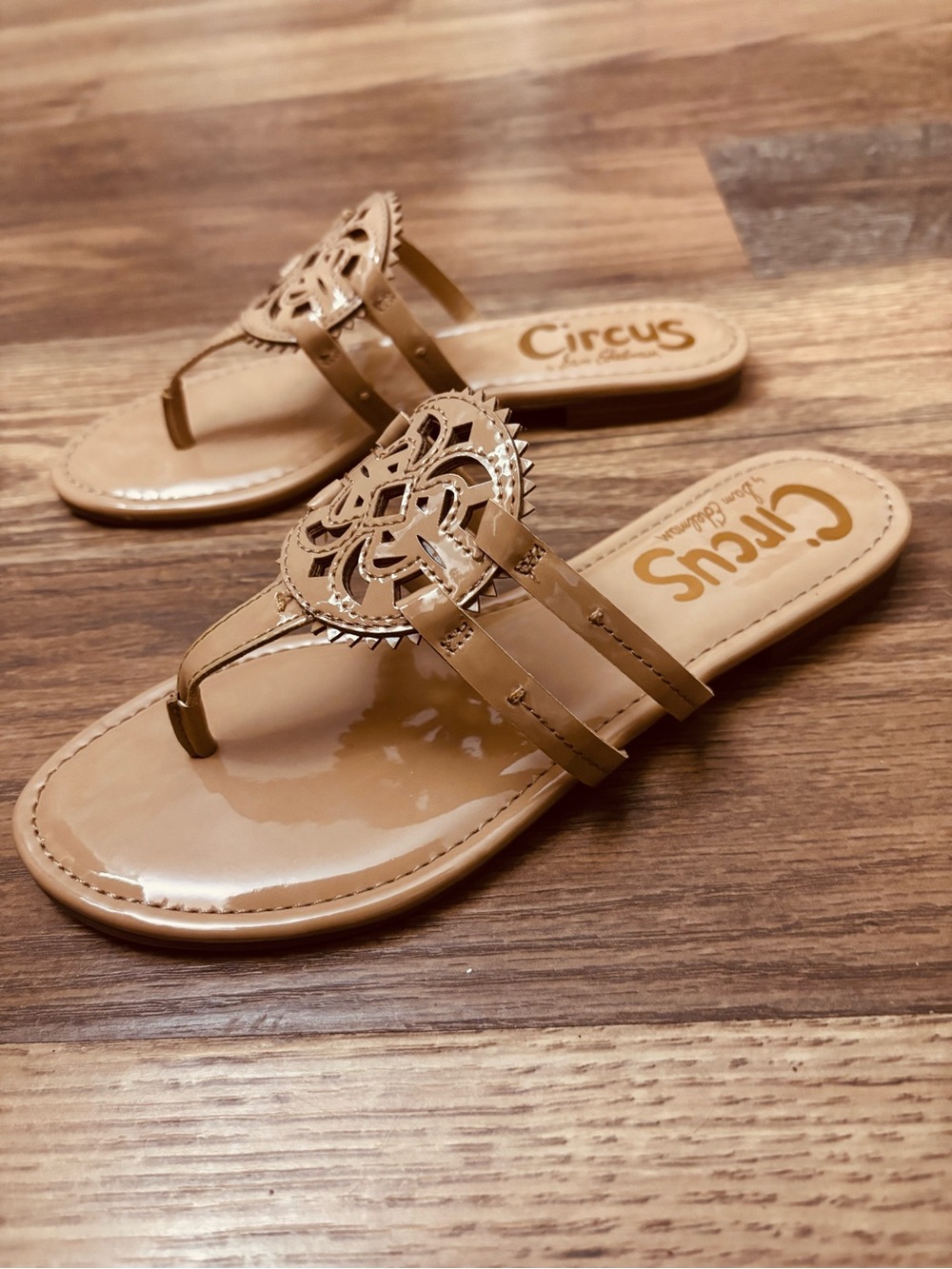 Sam Edelman Carney Medallion Thong Sandals 7